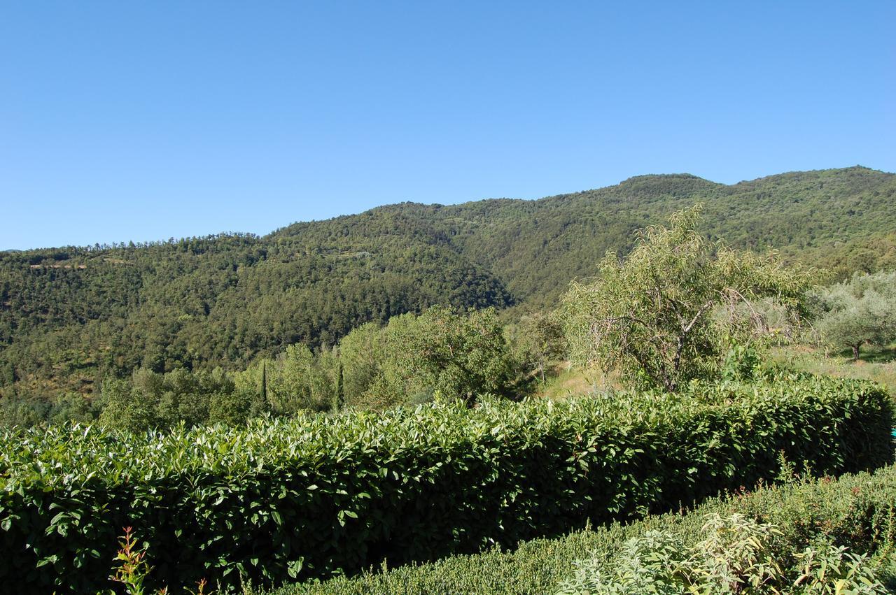 Agriturismo Borgo Del Senatore Anghiari Exterior photo