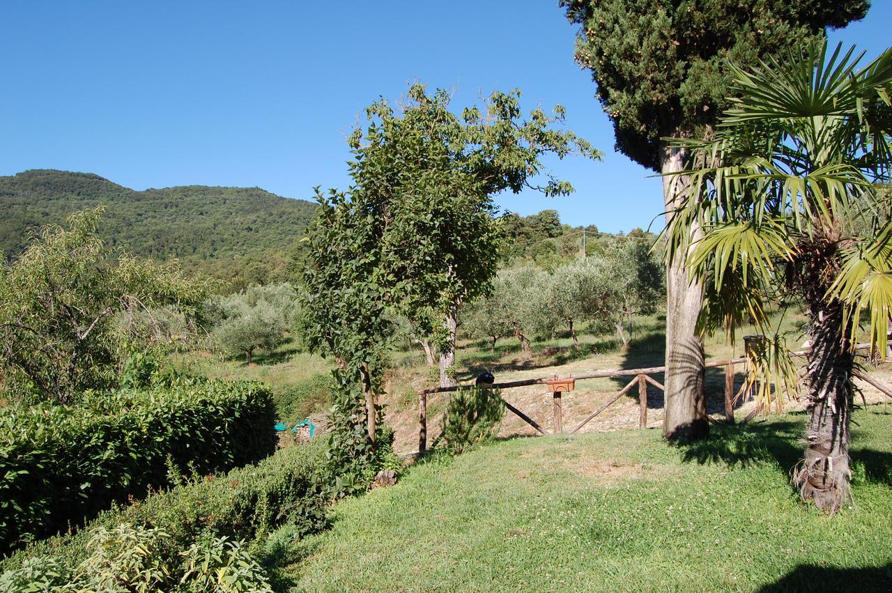 Agriturismo Borgo Del Senatore Anghiari Exterior photo